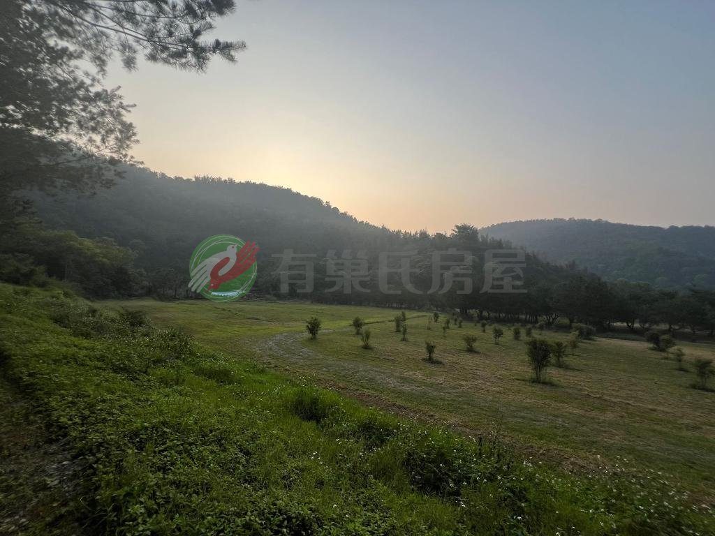 埔里鯉魚潭休閒景觀用途農建地（第 3 張，共 6 張）