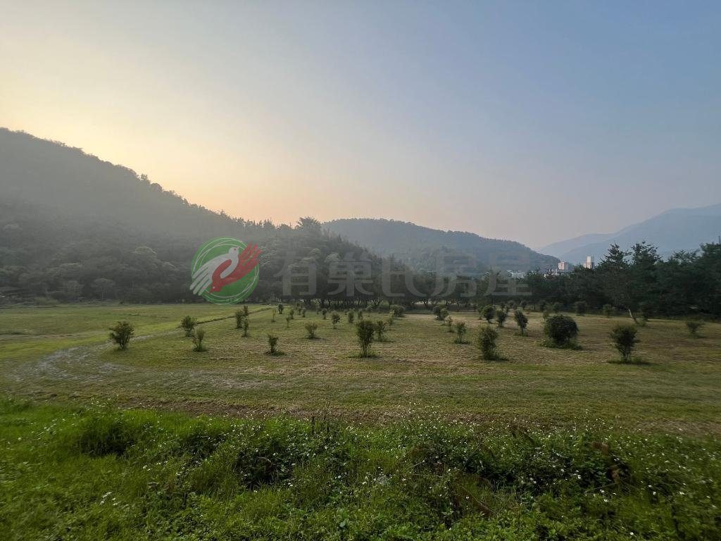 埔里鯉魚潭休閒景觀用途農建地（第 5 張，共 6 張）