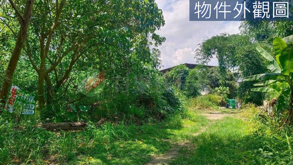 北屯東山路一段都計內農地（第 3 張，共 6 張）