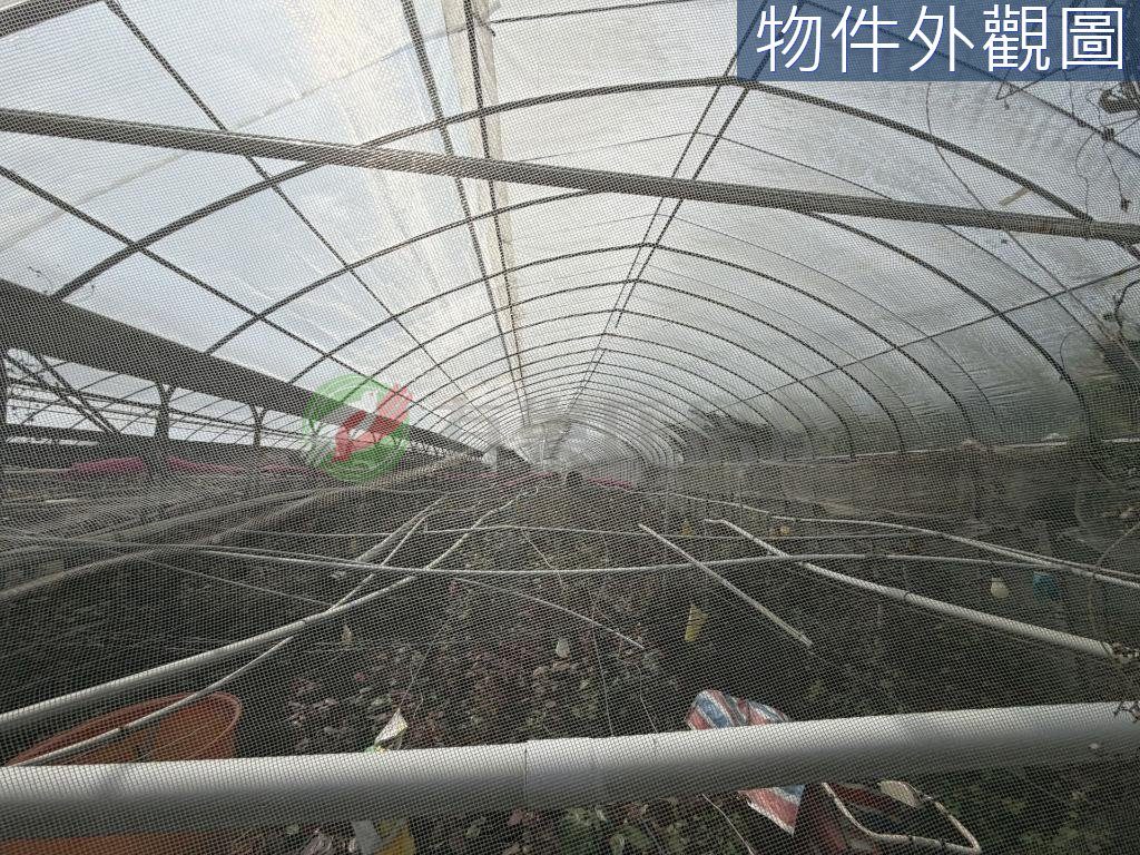 台中新社｜協中段｜大面寬農地｜開心農場