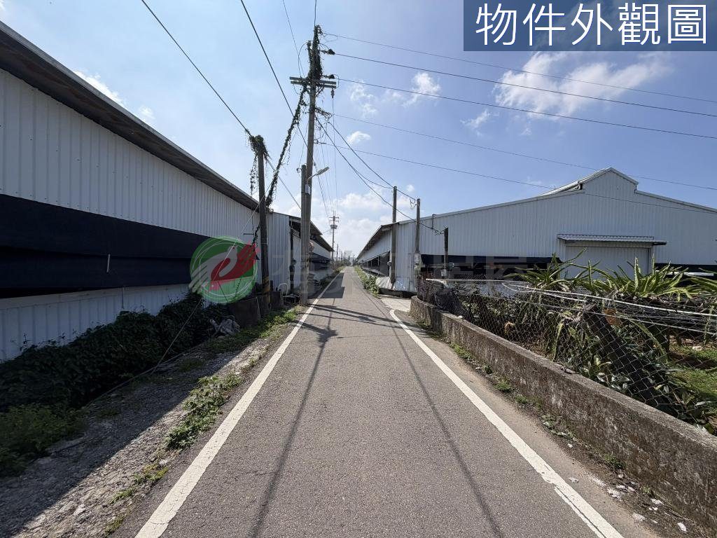 台中新社｜協中段｜大面寬農地｜開心農場（第 2 張，共 5 張）