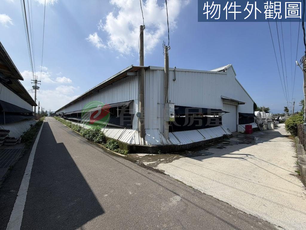 台中新社｜協中段｜大面寬農地｜開心農場（第 5 張，共 5 張）