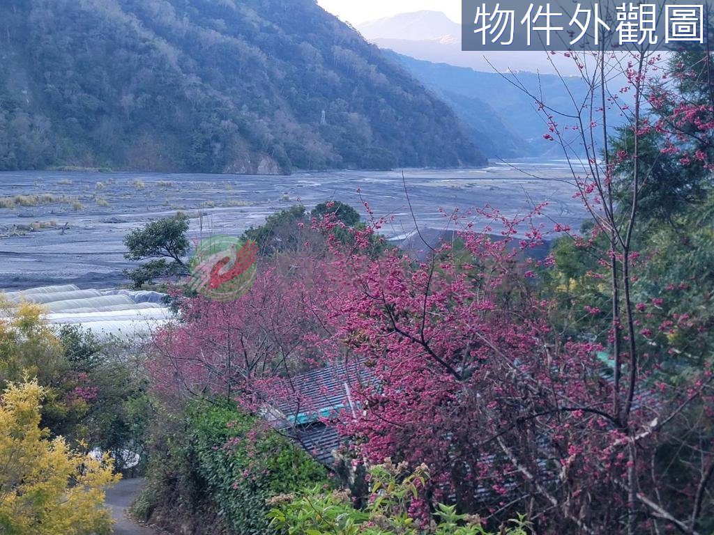 南投霧社碧湖旁全設備超漂亮露營區（第 4 張，共 6 張）