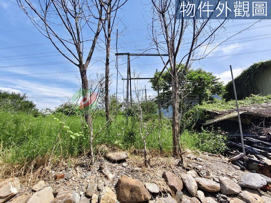 埔里臨路低總價甲建農地