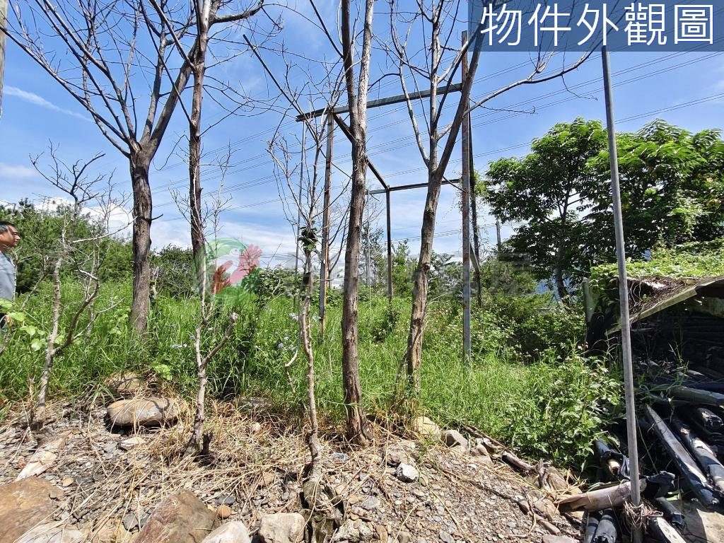 埔里臨路低總價甲建農地（第 2 張，共 5 張）