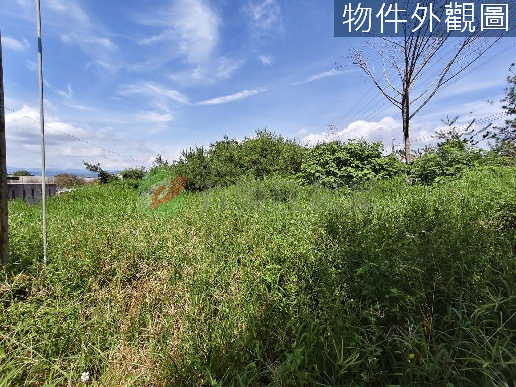 埔里臨路低總價甲建農地（第 3 張，共 5 張）