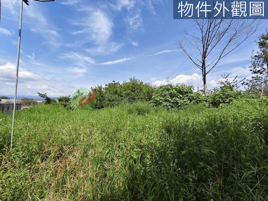 埔里臨路低總價甲建農地（第 4 張，共 5 張）