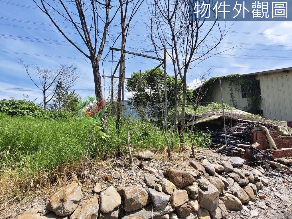 埔里臨路低總價甲建農地（第 5 張，共 5 張）