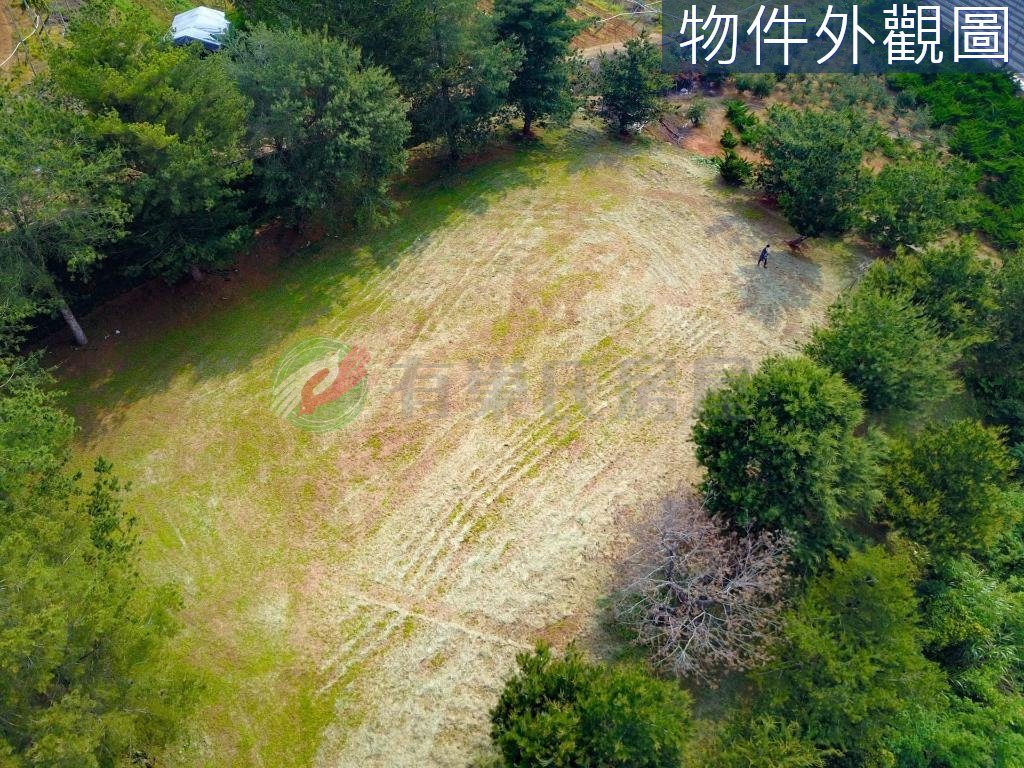 大坪頂農地
