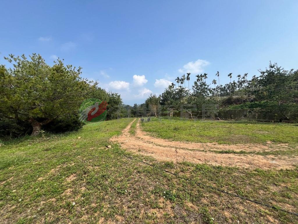 大坪頂農地（第 2 張，共 5 張）