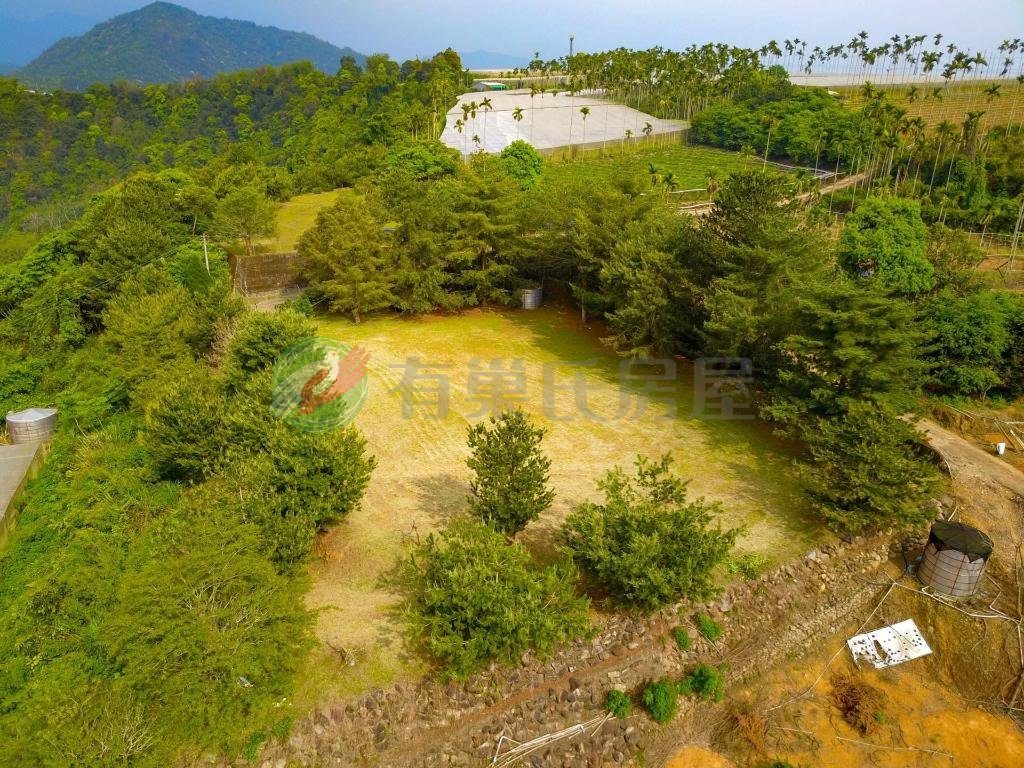 大坪頂農地（第 4 張，共 5 張）