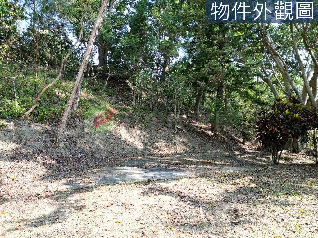 南投中寮｜石龍宮旁有水有電大地坪稀買地送屋（第 3 張，共 6 張）