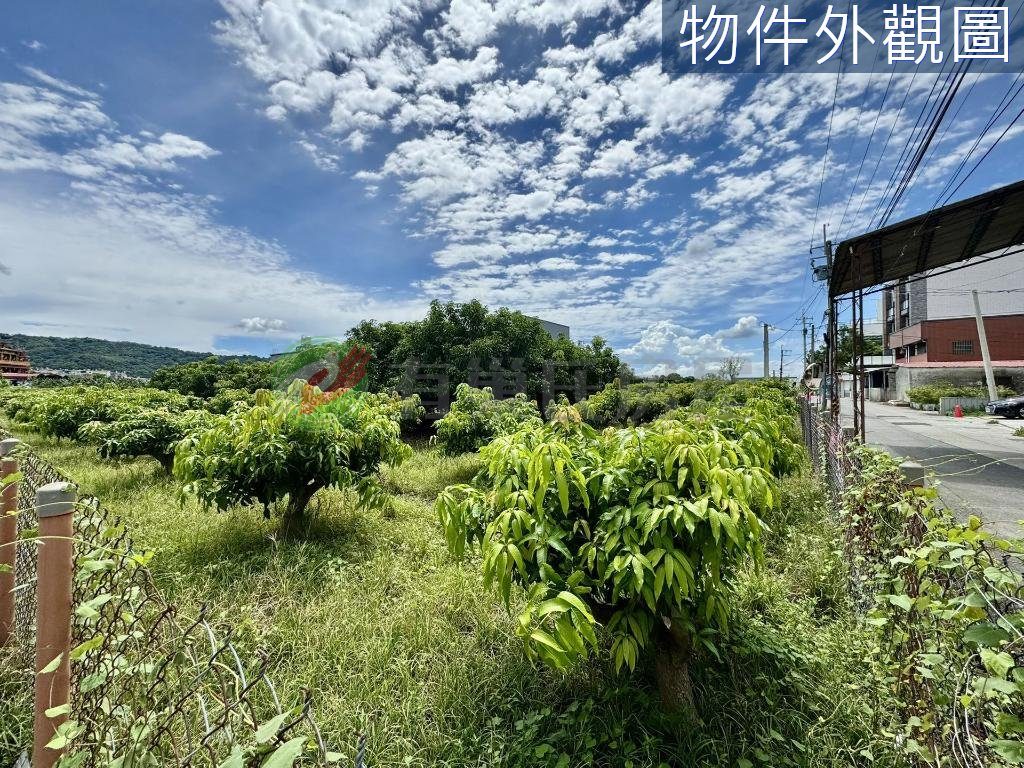 南投草屯｜鳥嘴潭人工湖旁方正農牧用地（第 2 張，共 6 張）