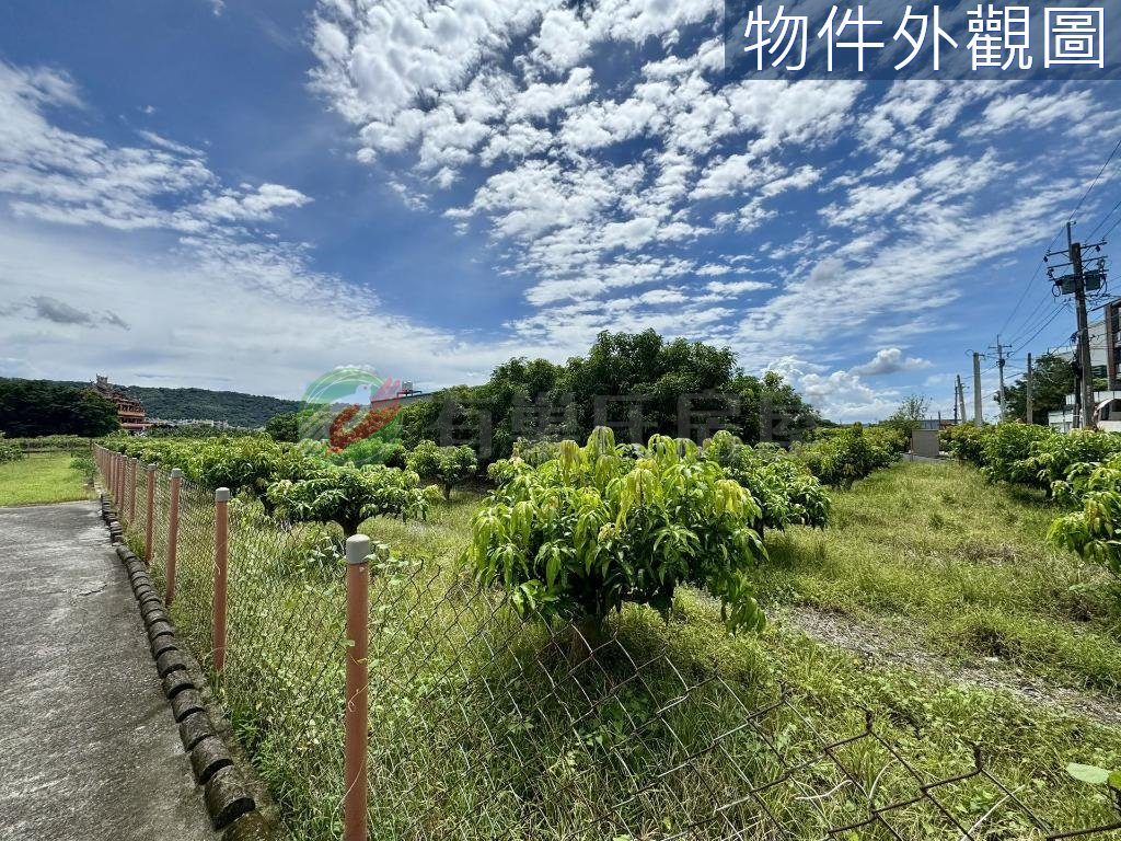 南投草屯｜鳥嘴潭人工湖旁方正農牧用地（第 3 張，共 6 張）