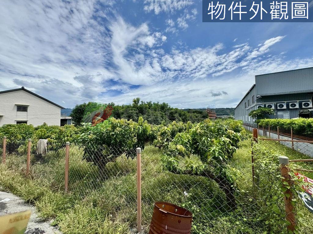 南投草屯｜鳥嘴潭人工湖旁方正農牧用地（第 4 張，共 6 張）