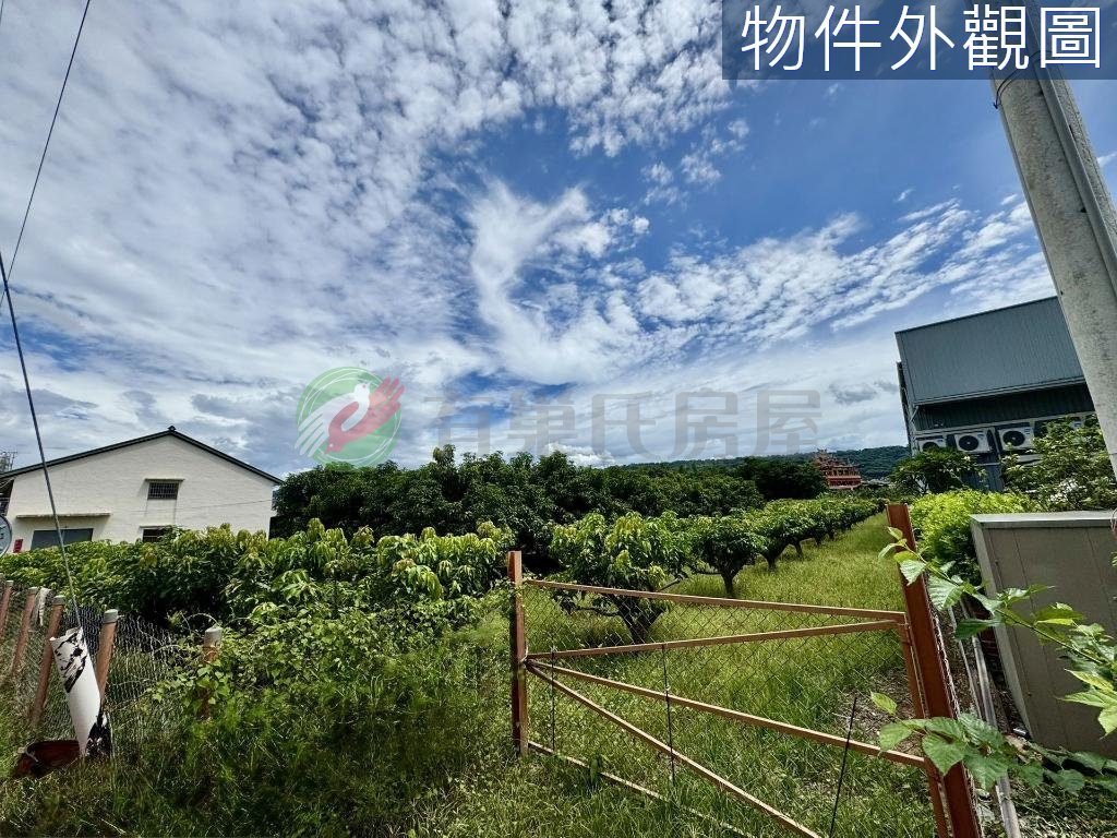南投草屯｜鳥嘴潭人工湖旁方正農牧用地（第 5 張，共 6 張）