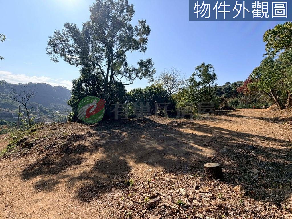 土地農牧+丙建后里馬場旁單坪1.5萬
