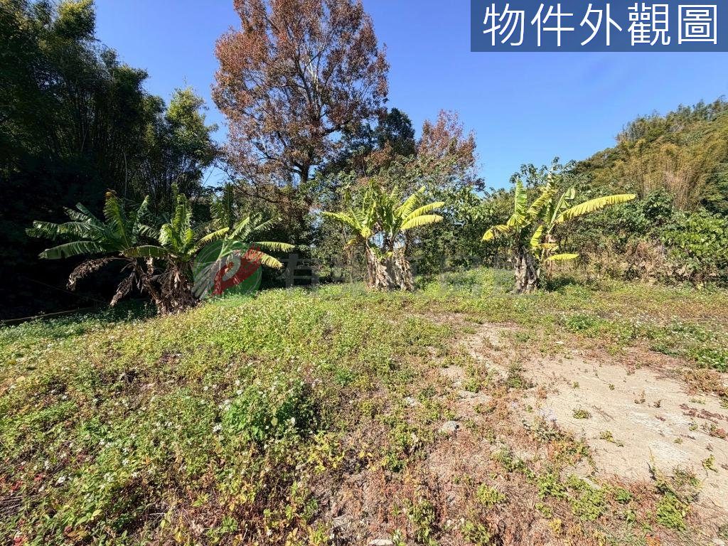 土地農牧+丙建后里馬場旁單坪1.5萬（第 2 張，共 5 張）