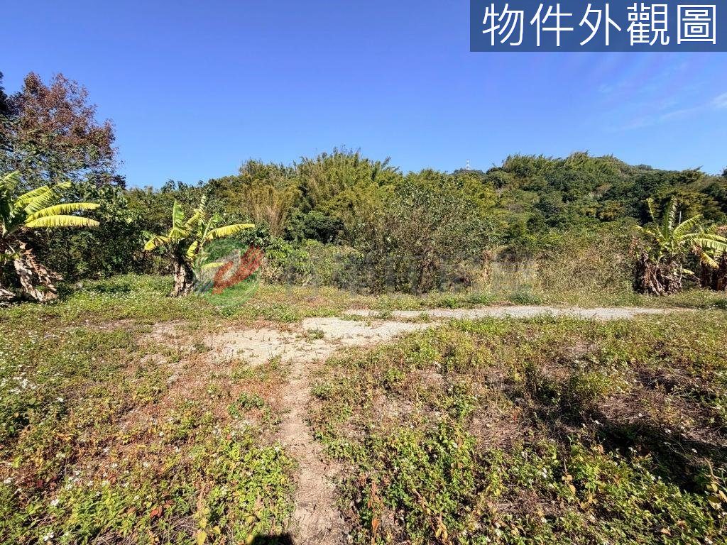 土地農牧+丙建后里馬場旁單坪1.5萬（第 3 張，共 5 張）