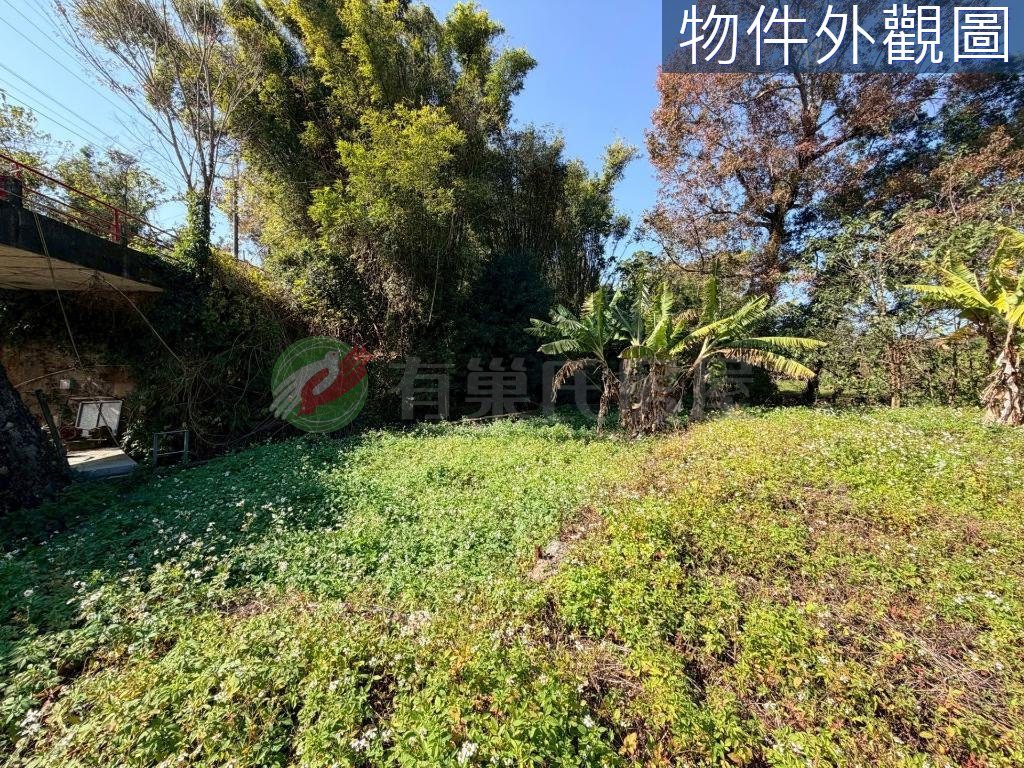 土地農牧+丙建后里馬場旁單坪1.5萬（第 4 張，共 5 張）