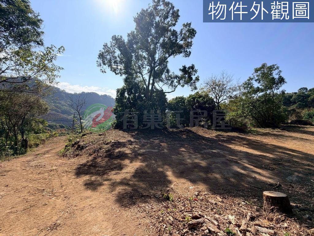 土地農牧+丙建后里馬場旁單坪1.5萬（第 5 張，共 5 張）