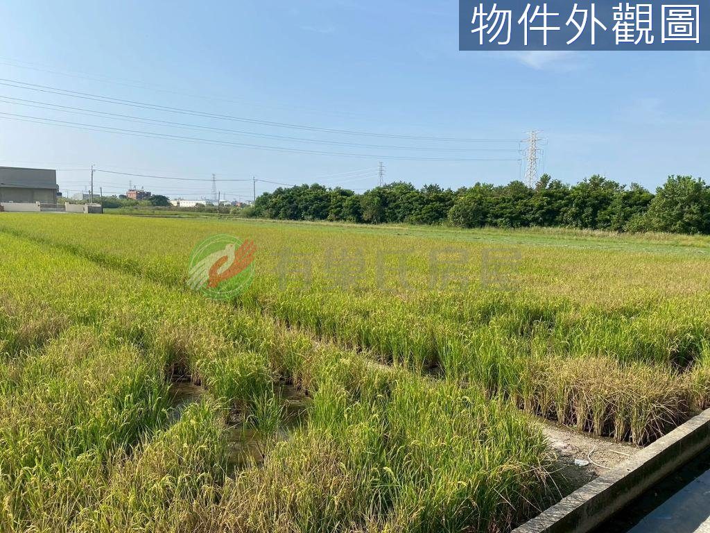 梧棲區正中華路雙面路增值黃金農地 縮圖 6