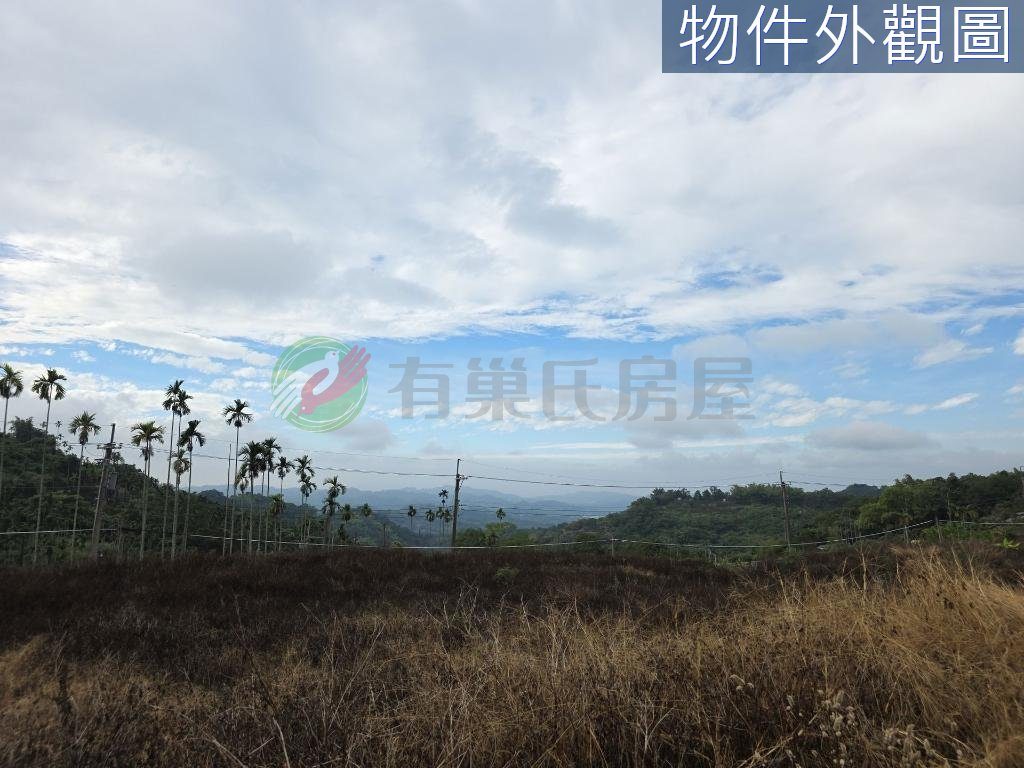 南投中寮後寮段8分多農地田僑仔不是夢