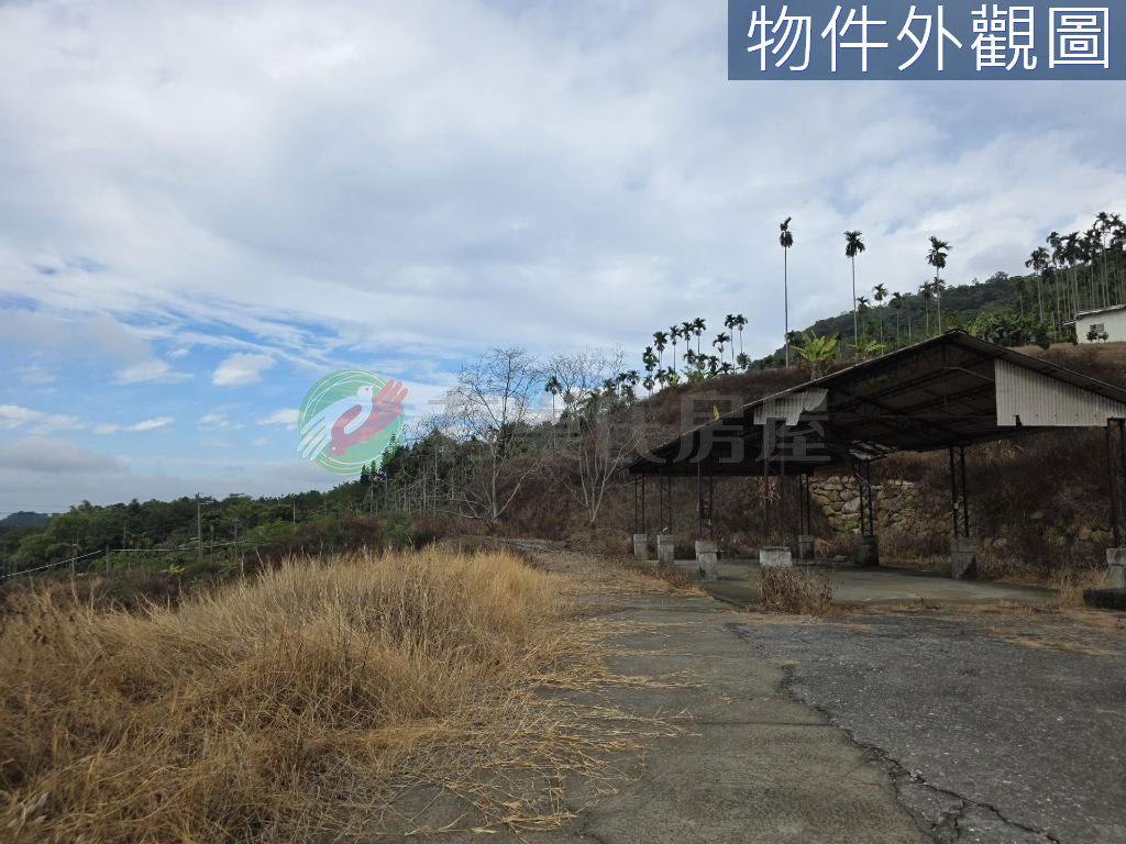 南投中寮後寮段8分多農地田僑仔不是夢（第 2 張，共 5 張）