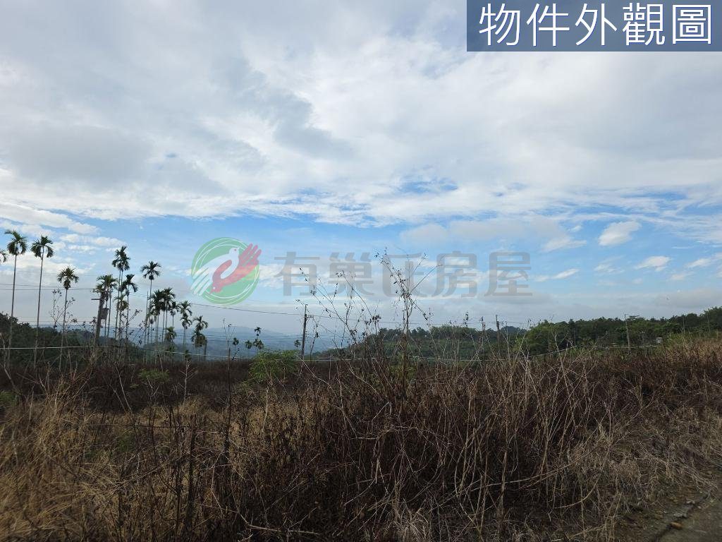 南投中寮後寮段8分多農地田僑仔不是夢（第 3 張，共 5 張）