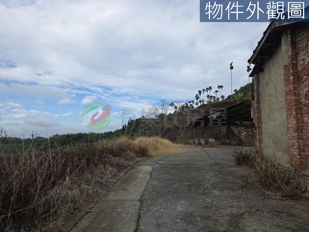 南投中寮後寮段8分多農地田僑仔不是夢（第 4 張，共 5 張）