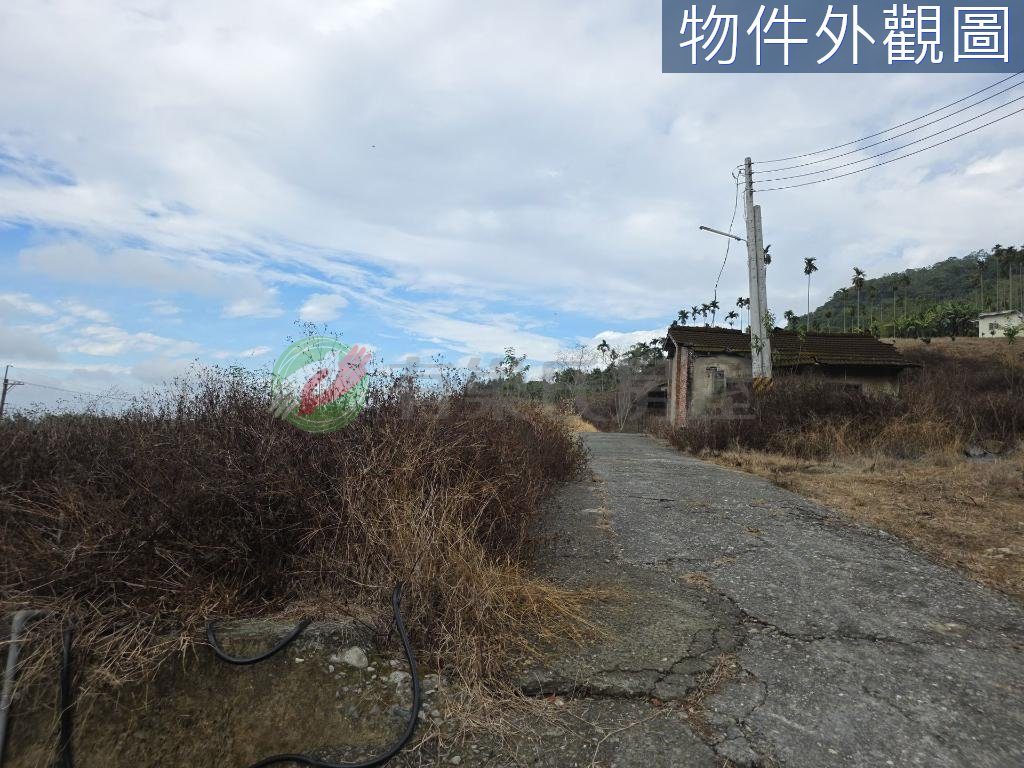 南投中寮後寮段8分多農地田僑仔不是夢（第 5 張，共 5 張）
