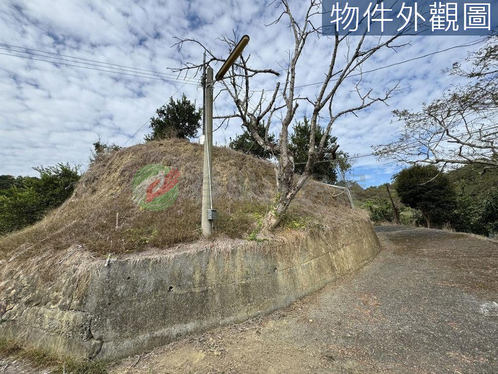 南投石龍宮旁1.3甲有水有電高投報果園（第 3 張，共 5 張）
