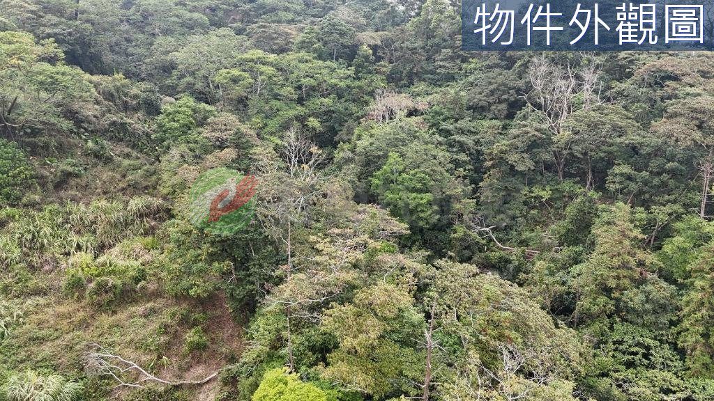 發財農牧用地後有靠山前有水自用投資兩相宜