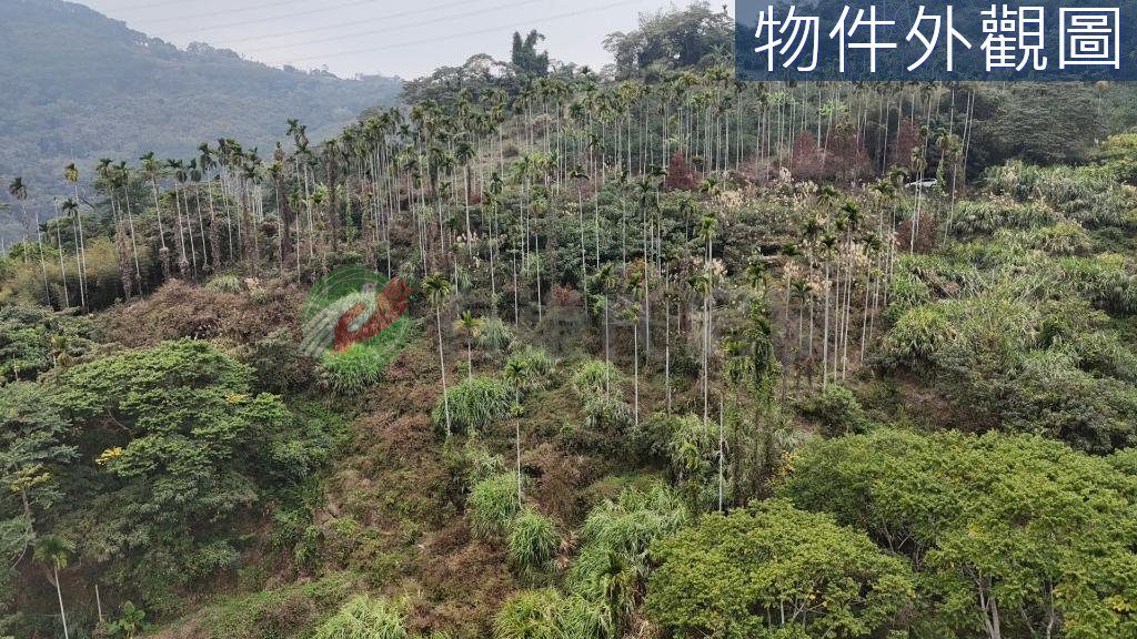發財農牧用地後有靠山前有水自用投資兩相宜（第 2 張，共 5 張）