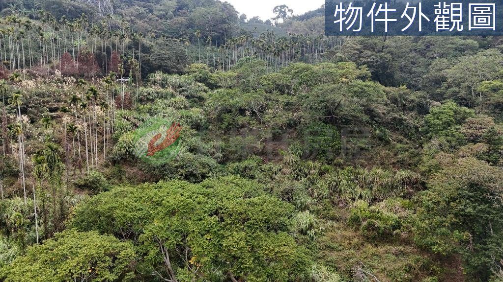 發財農牧用地後有靠山前有水自用投資兩相宜（第 3 張，共 5 張）