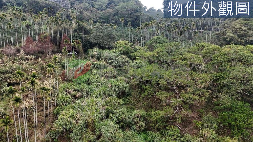 發財農牧用地後有靠山前有水自用投資兩相宜（第 4 張，共 5 張）