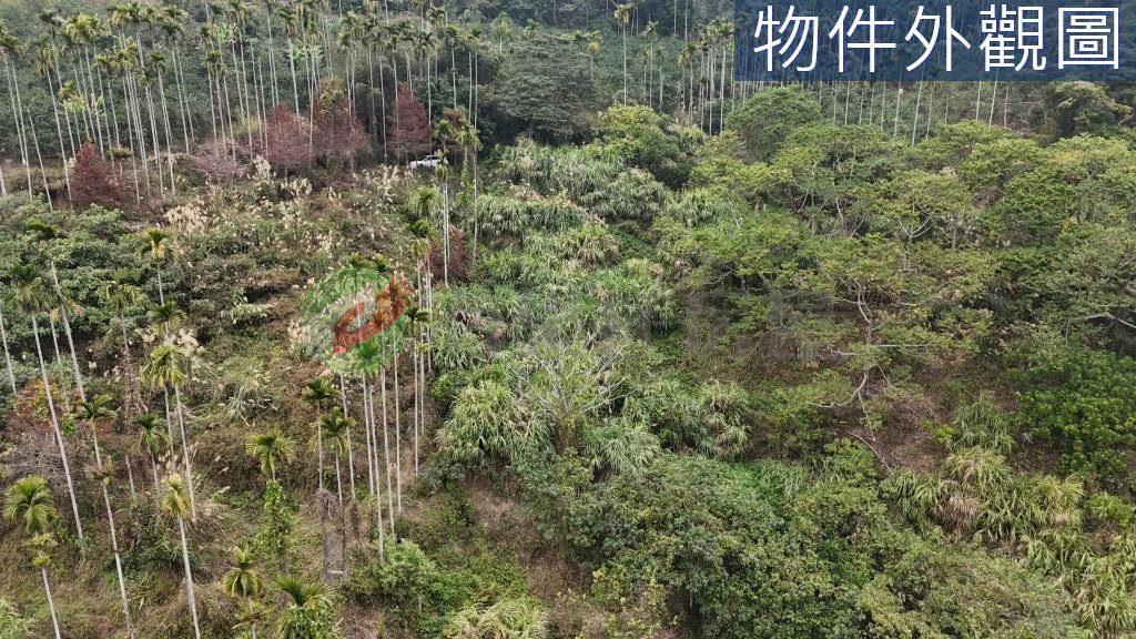 發財農牧用地後有靠山前有水自用投資兩相宜（第 5 張，共 5 張）