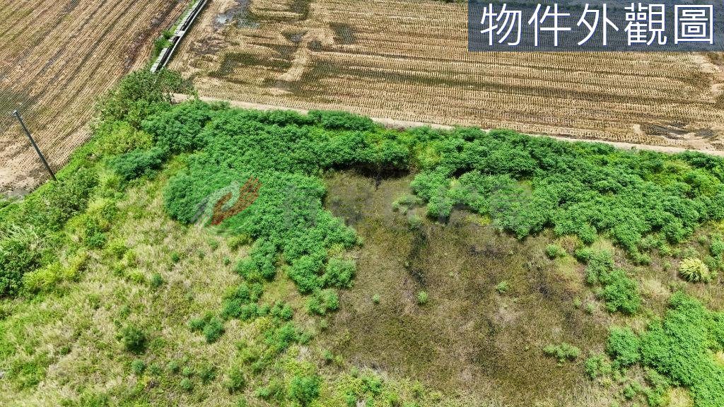 台中清水農地套房價讓你成為田僑仔（第 2 張，共 6 張）