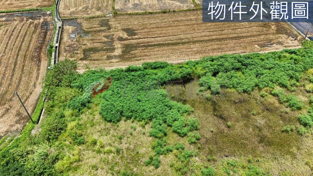 台中清水農地套房價讓你成為田僑仔（第 3 張，共 6 張）