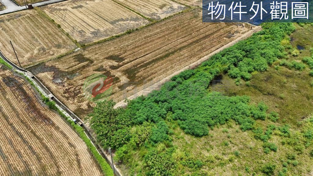 台中清水農地套房價讓你成為田僑仔（第 4 張，共 6 張）