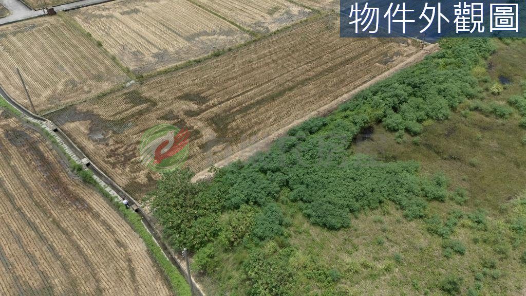 台中清水農地套房價讓你成為田僑仔（第 5 張，共 6 張）