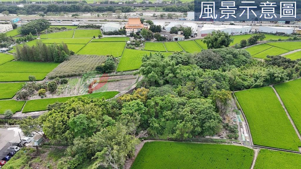 大里三期區段徵收｜正10米方正農地｜增值節稅首選（第 3 張，共 5 張）