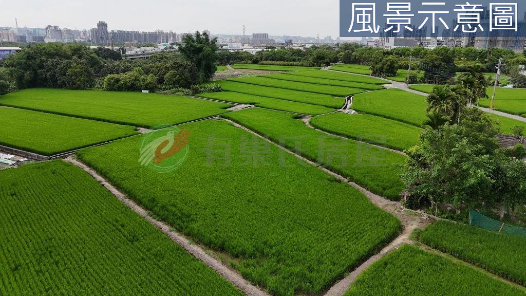 夏田產業園區內｜臨路大面寬｜都計節稅農地