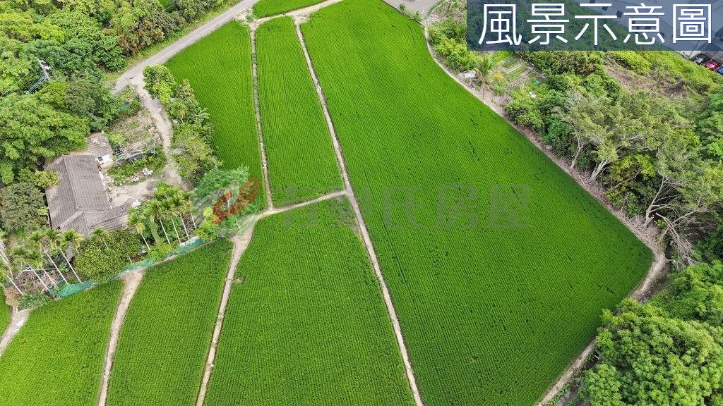 夏田產業園區內｜臨路大面寬｜都計節稅農地（第 2 張，共 5 張）