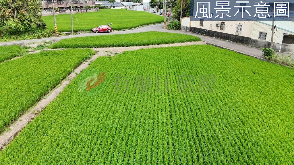 夏田產業園區內｜臨路大面寬｜都計節稅農地（第 3 張，共 5 張）