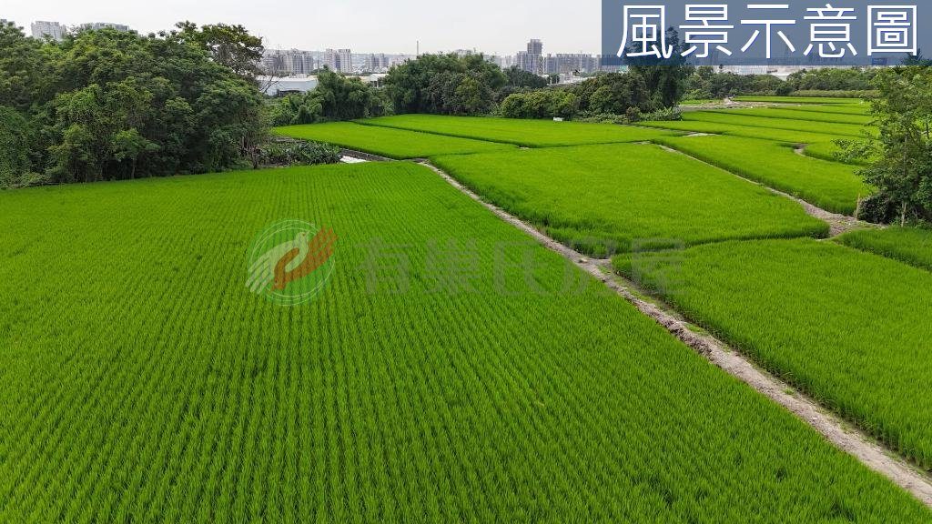 夏田產業園區內｜臨路大面寬｜都計節稅農地（第 4 張，共 5 張）