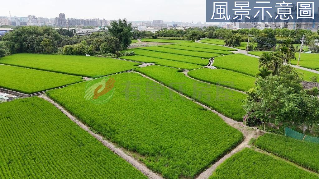夏田產業園區內｜臨路大面寬｜都計節稅農地（第 5 張，共 5 張）