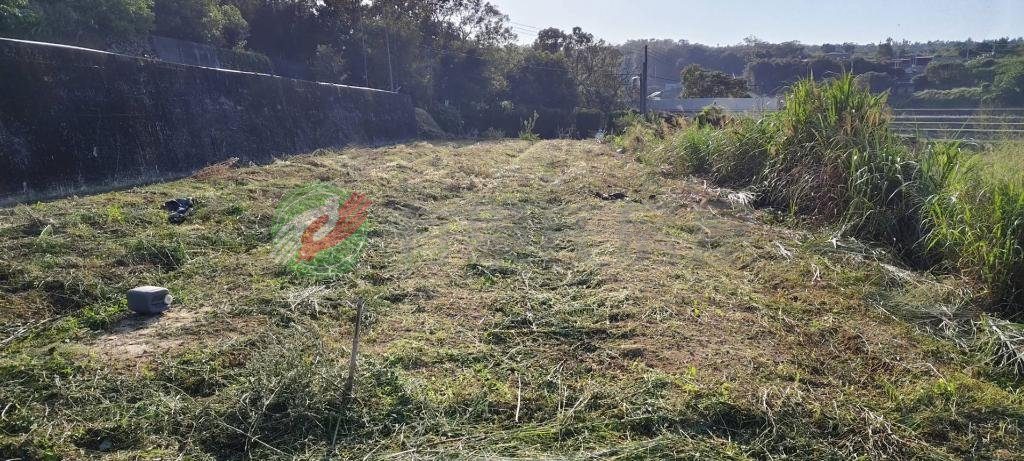 苗栗銅鑼九湖國小旁農牧用地有申請過資材室（第 3 張，共 5 張）