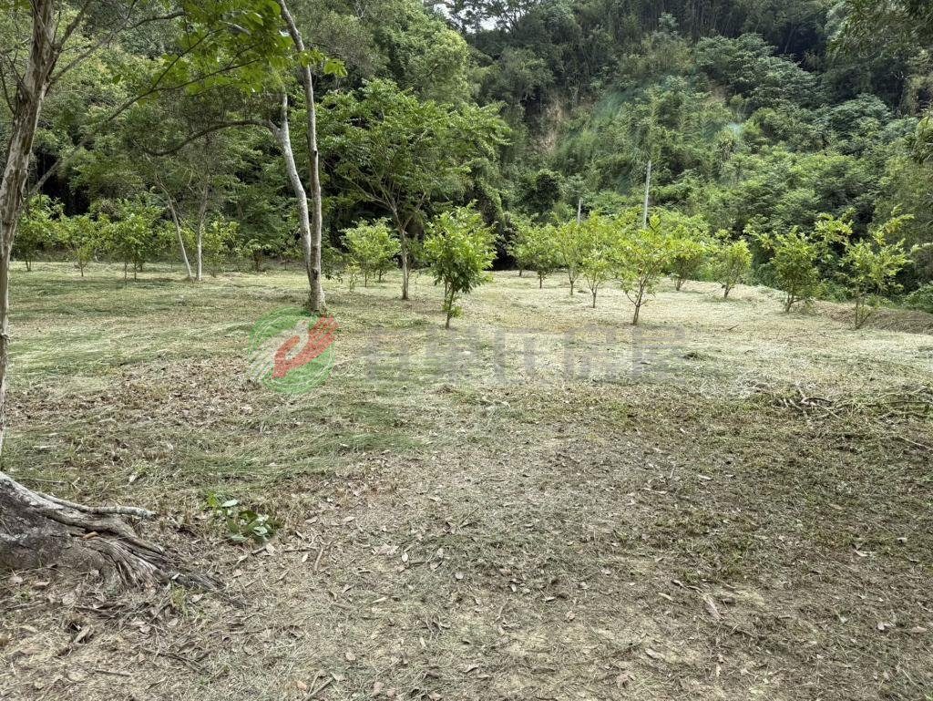 銅鑼新雞隆農+建地好規劃休閒度假