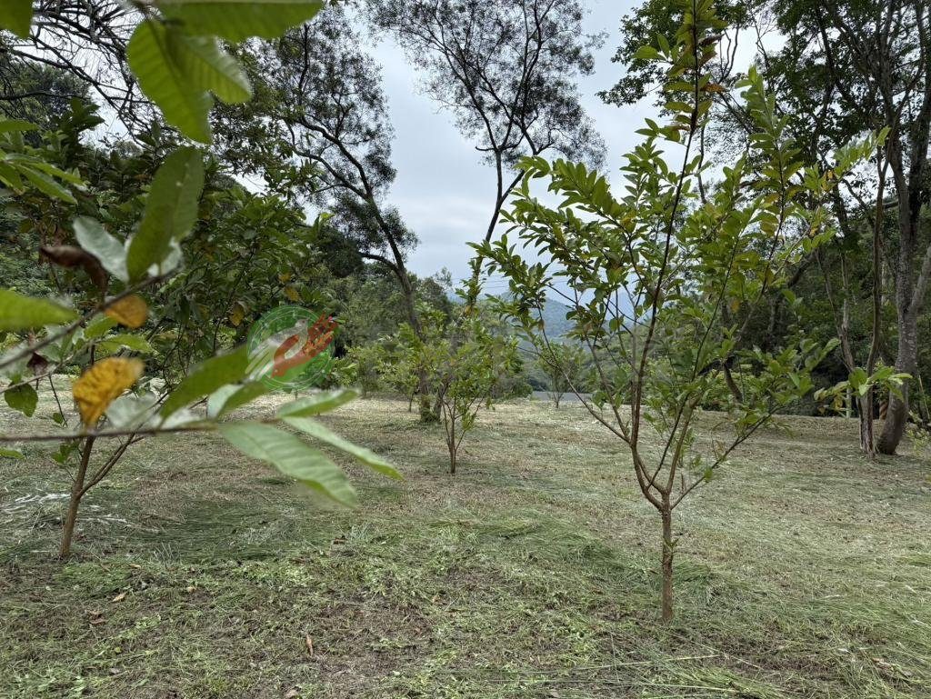 銅鑼新雞隆農+建地好規劃休閒度假（第 2 張，共 6 張）